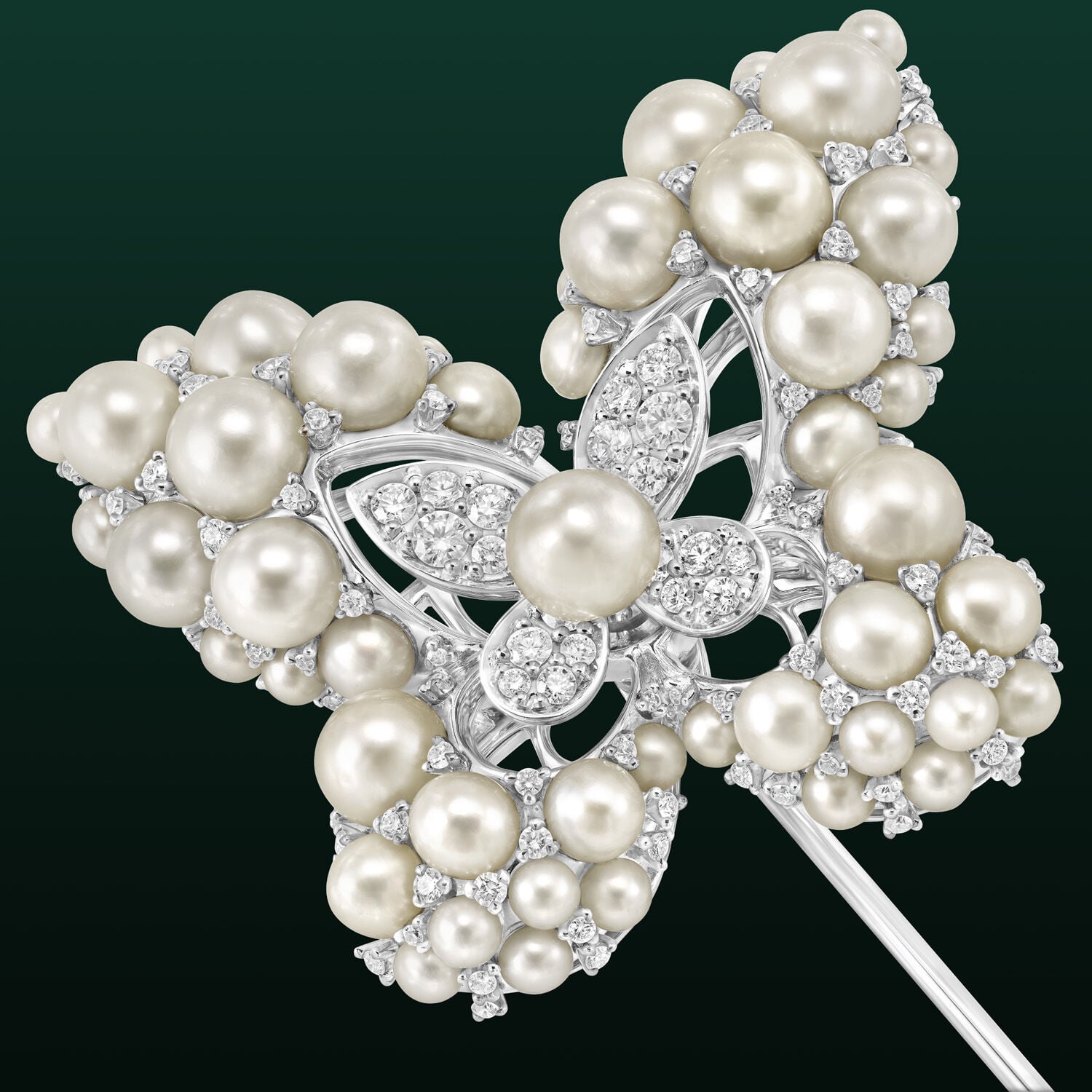 シルヴィ, Butterfly Brooch - Graff